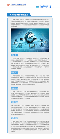 互联网及信息服务业
