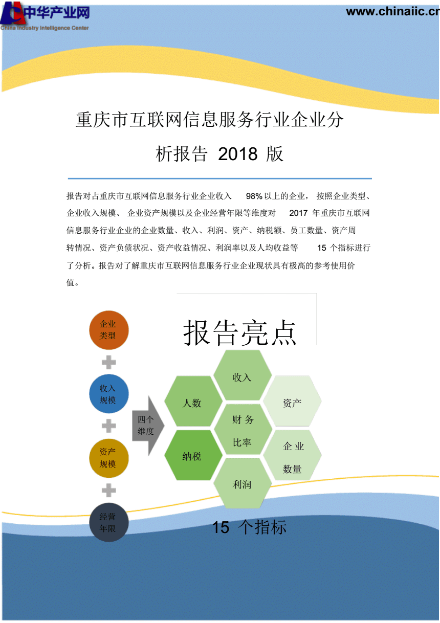 重庆市互联网信息服务行业企业分析报告2018版.pdf